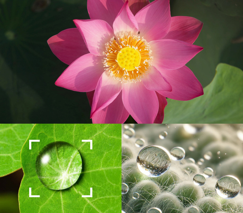 Drysolate Image